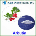 Wholesale bulk arbutin